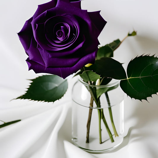 Enamor - Dark Rose & Patchouli -  Luxury Wooden Wick Candle